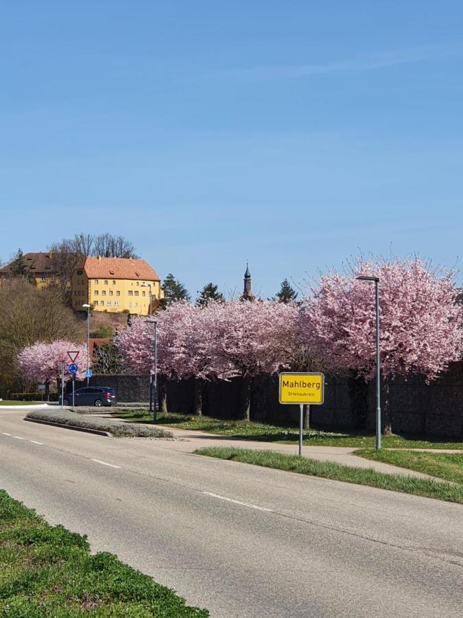 Ferienwohnung Zum Schlossblick Naehe Europa Park Mahlberg Extérieur photo